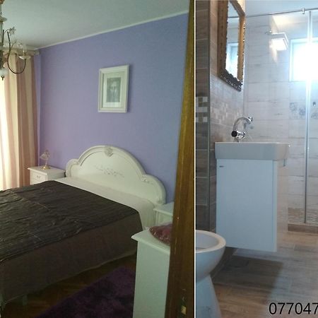 Pelican Proxy Apartment Nagyvárad Kültér fotó