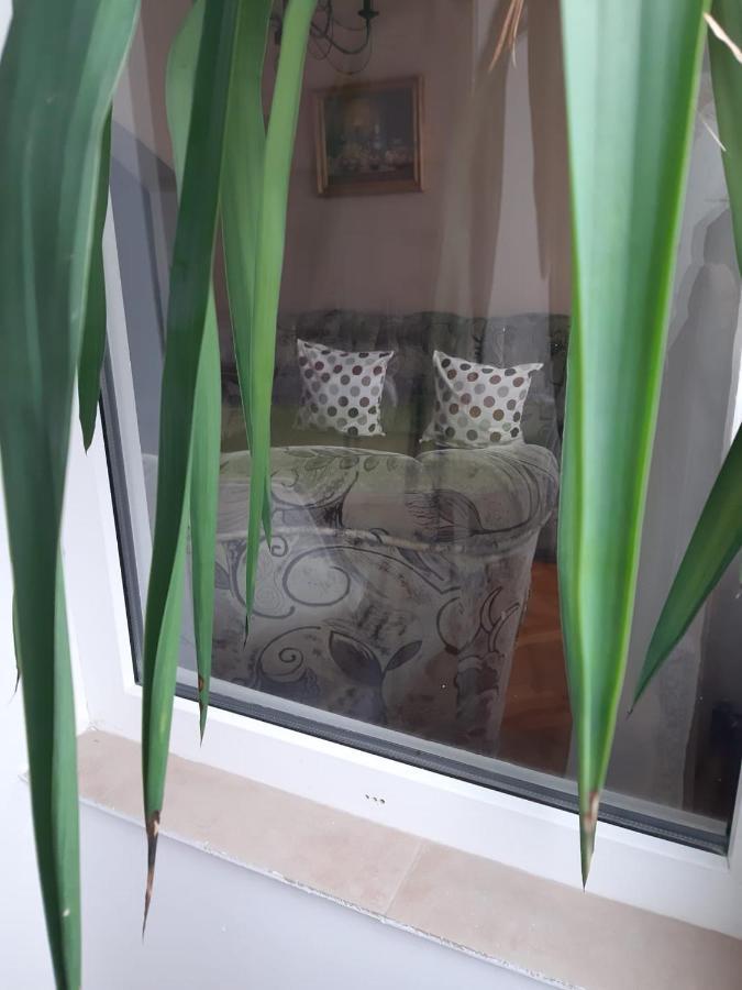 Pelican Proxy Apartment Nagyvárad Kültér fotó