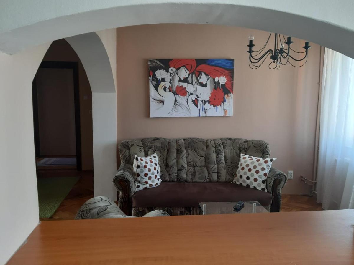 Pelican Proxy Apartment Nagyvárad Kültér fotó